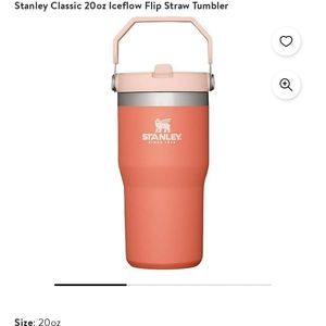 BEAUTIFUL Stanley 20 oz